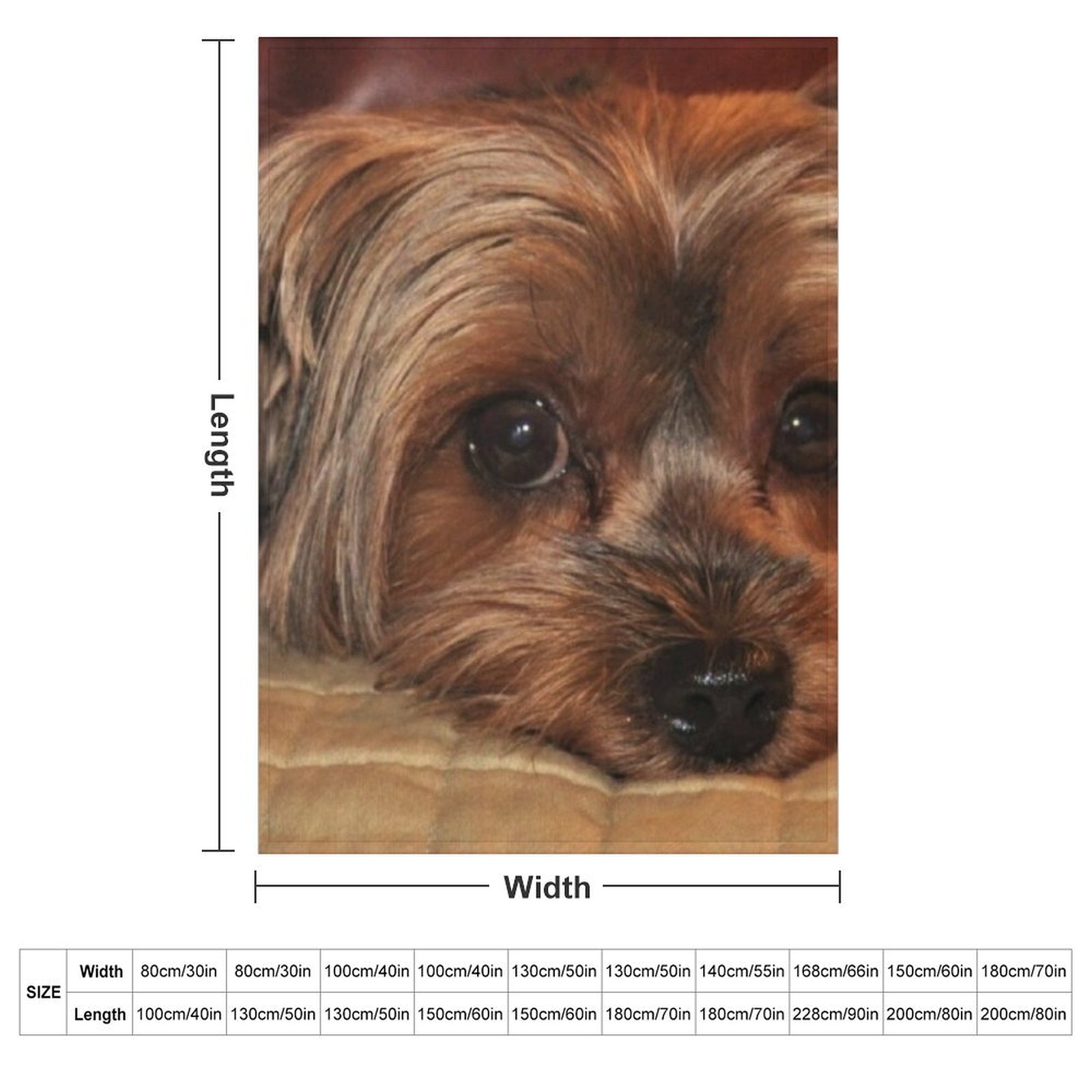 Cute Yorkshire Terrier Yorkie  - 3D Printing Yorkshire avaliação e preço